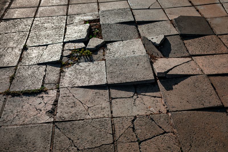 Paver Maintenance Companies
